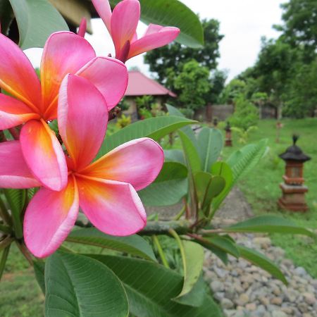 Tegal Sari, Pemuteran- North Bali Hotel Luaran gambar