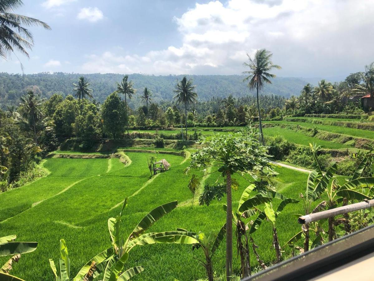 Tegal Sari, Pemuteran- North Bali Hotel Luaran gambar