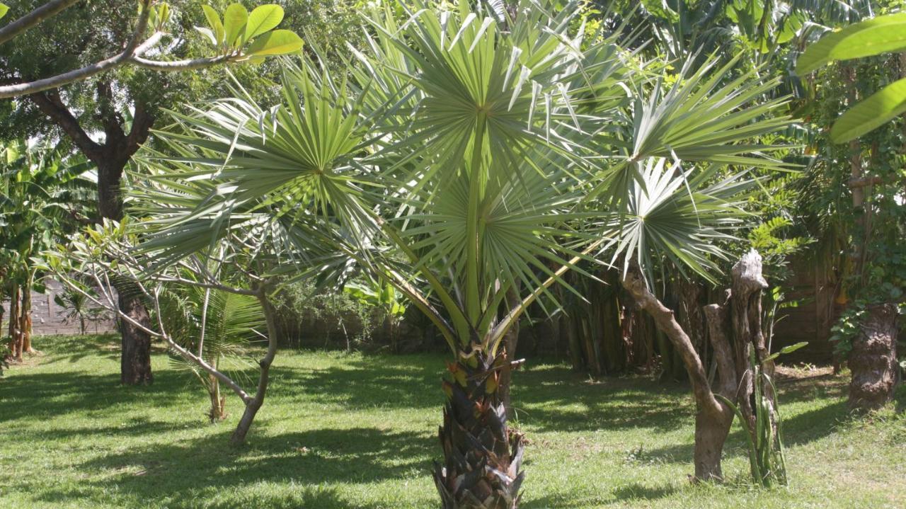 Tegal Sari, Pemuteran- North Bali Hotel Luaran gambar