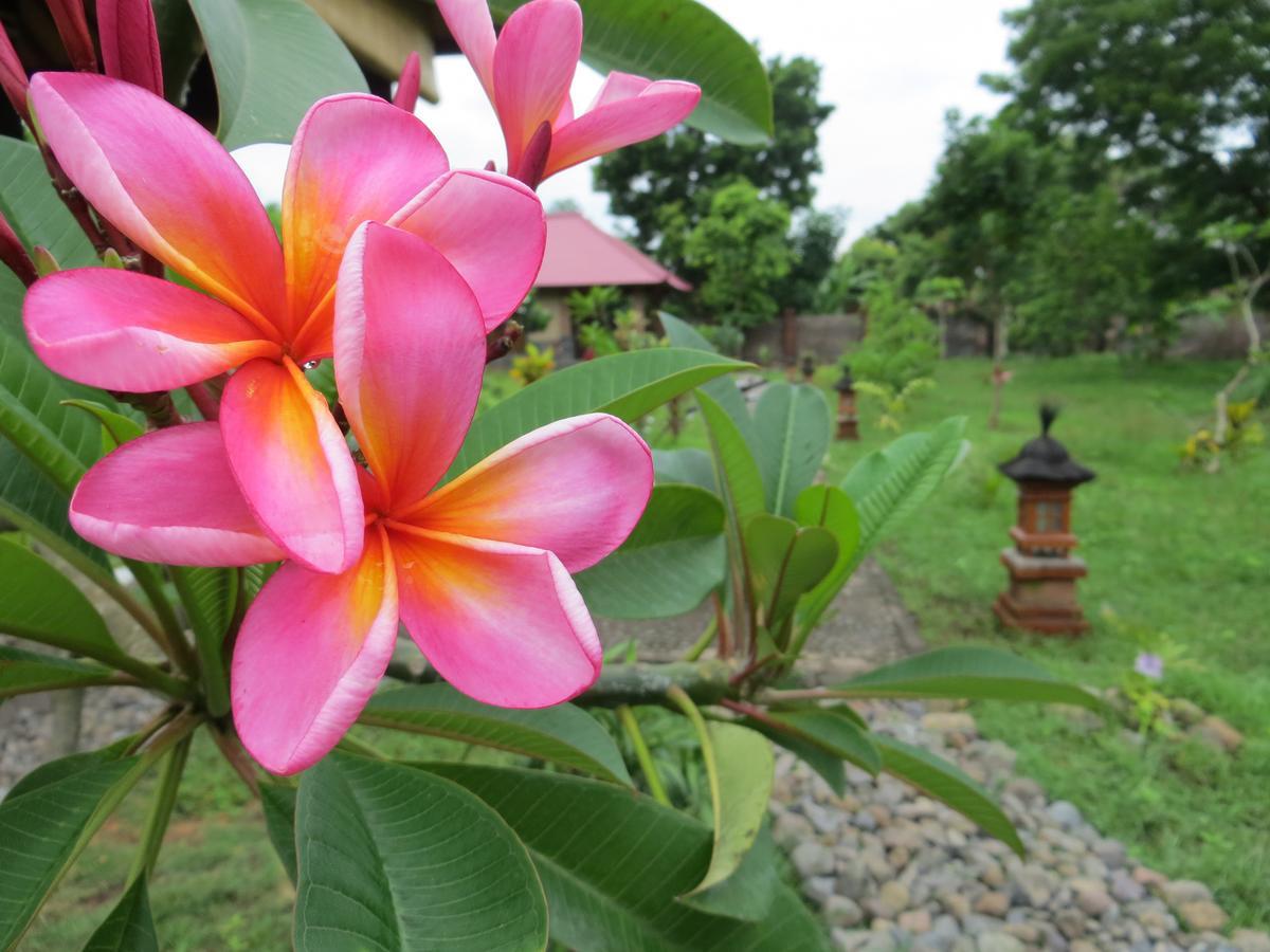 Tegal Sari, Pemuteran- North Bali Hotel Luaran gambar