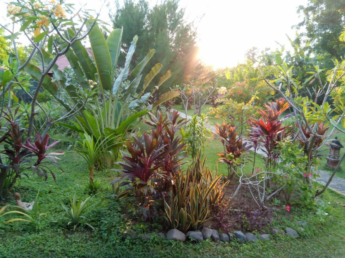 Tegal Sari, Pemuteran- North Bali Hotel Luaran gambar