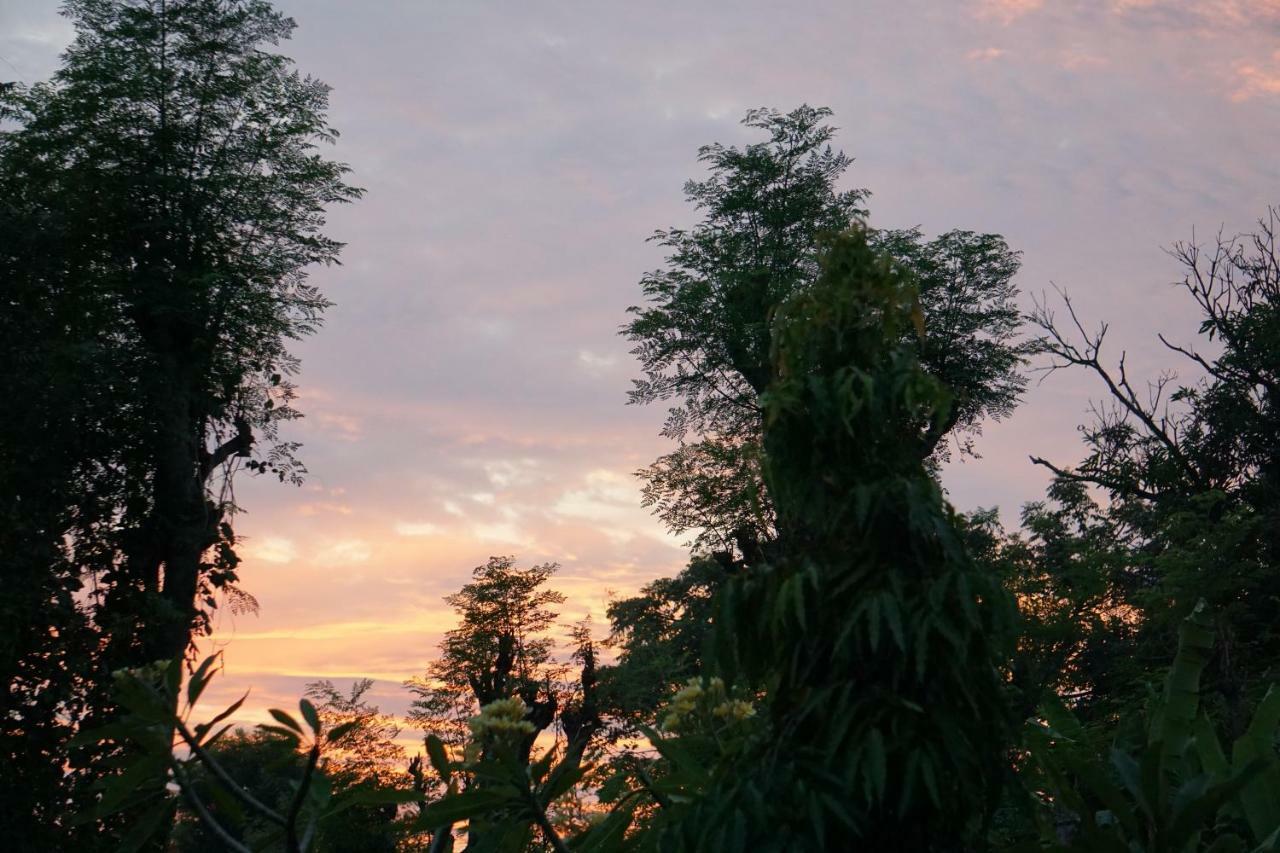 Tegal Sari, Pemuteran- North Bali Hotel Luaran gambar