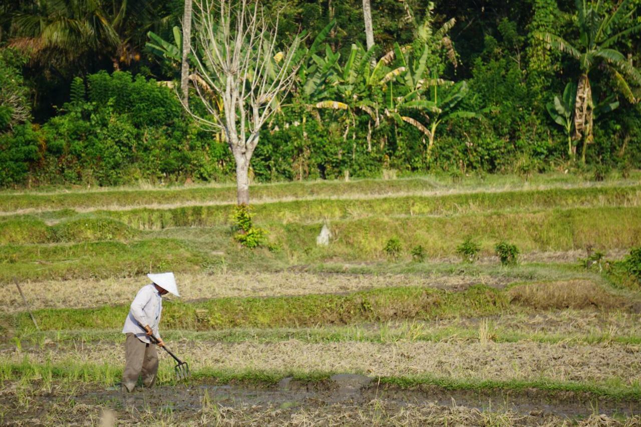 Tegal Sari, Pemuteran- North Bali Hotel Luaran gambar