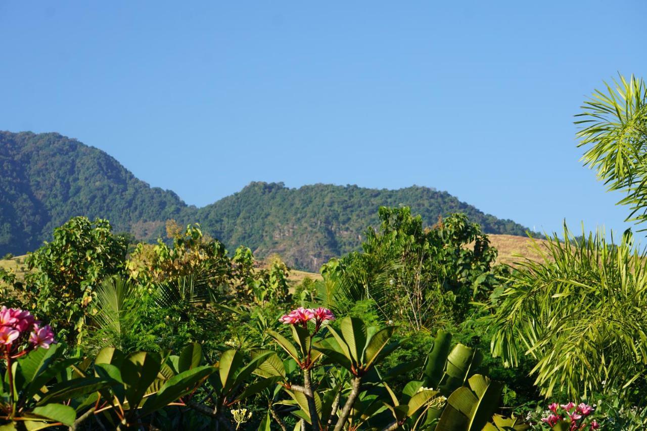 Tegal Sari, Pemuteran- North Bali Hotel Luaran gambar