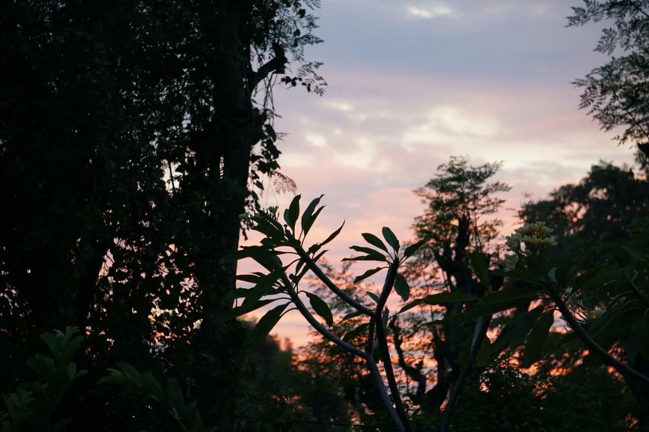 Tegal Sari, Pemuteran- North Bali Hotel Luaran gambar